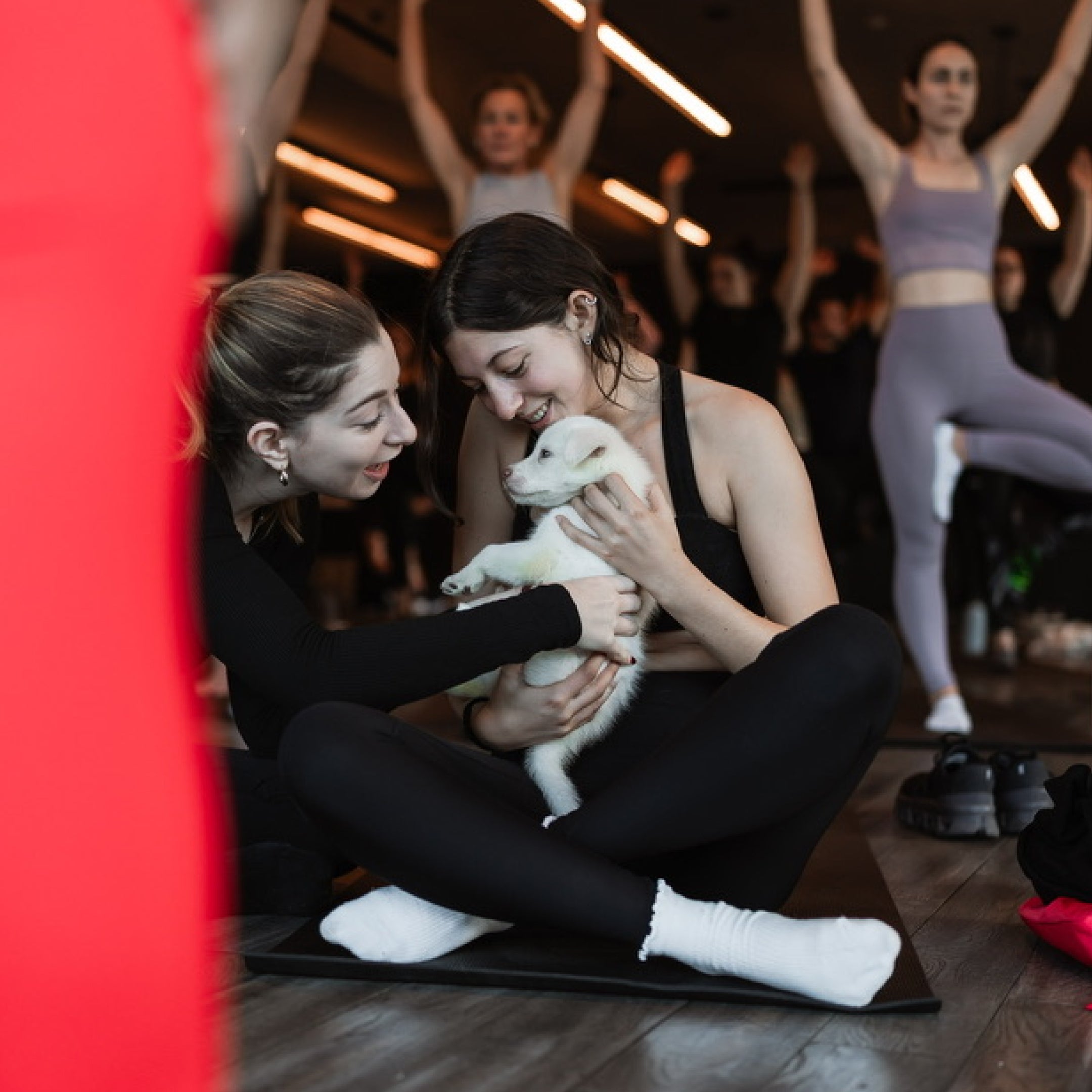 Rescue Puppy Yoga • March 14