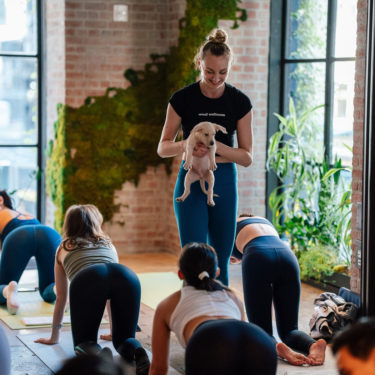 Rescue Puppy Yoga • November 21
