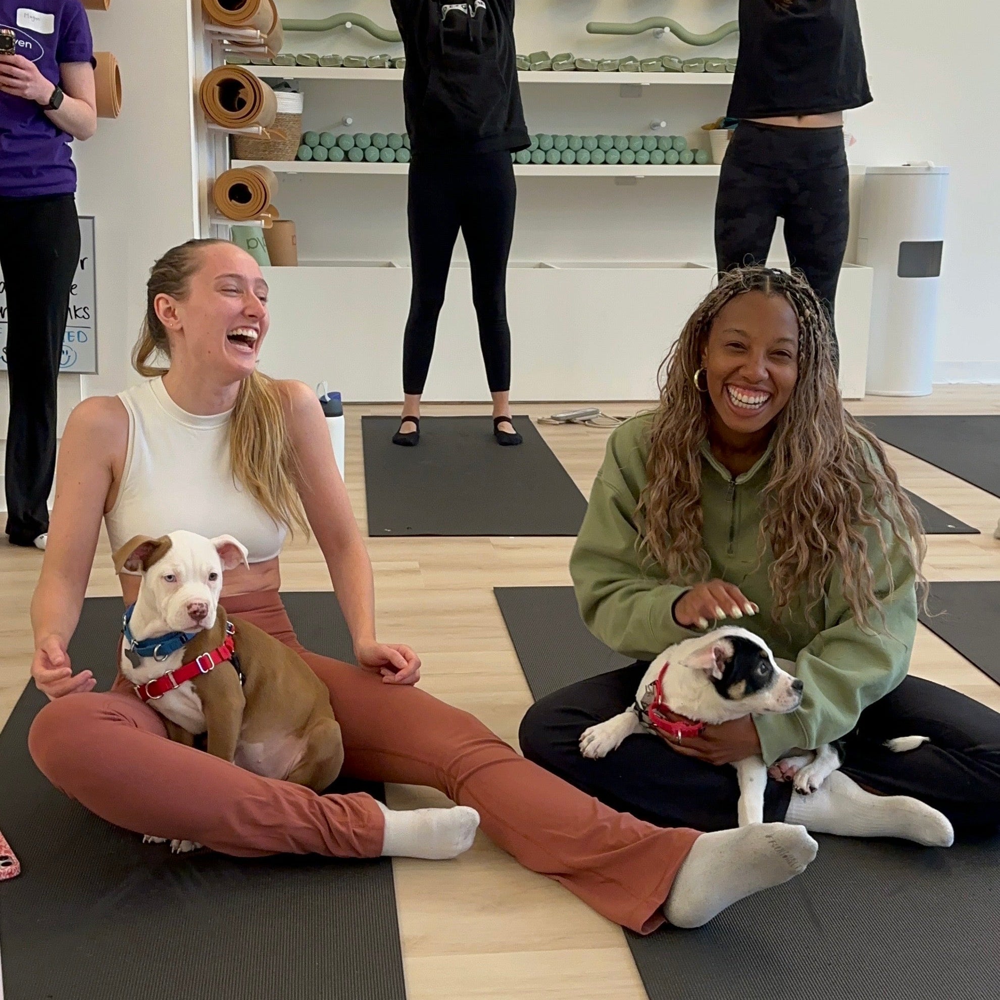 Rescue Puppy Yoga • September 12