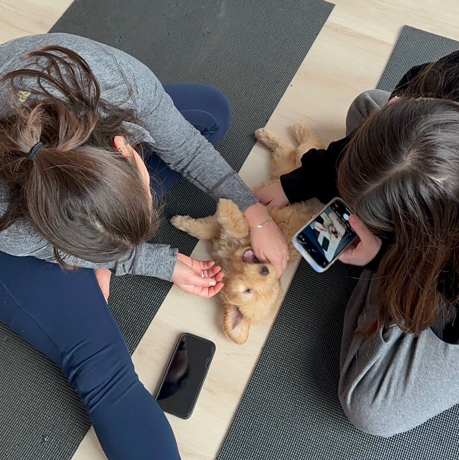 Rescue Puppy Yoga • May 30