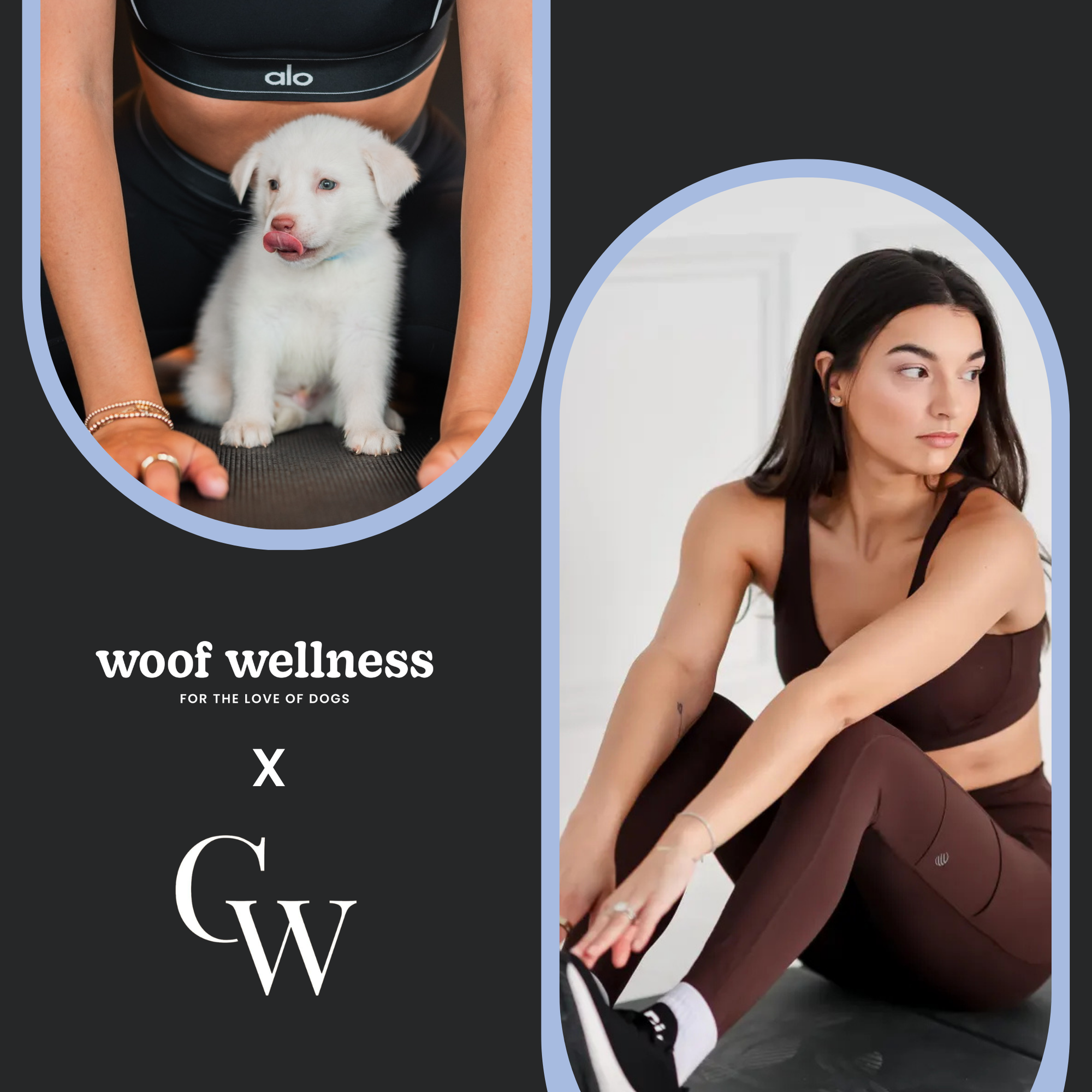 Puppy Pilates with Cacti Wellness x Woof Wellness